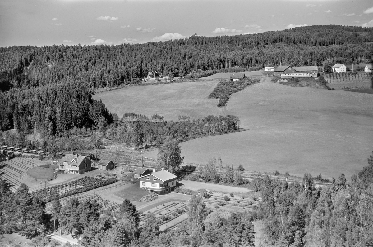Widerøes Flyveselskap A/S, Flyfoto, Strandvegen med Furuberget gard i bakgrunnen.