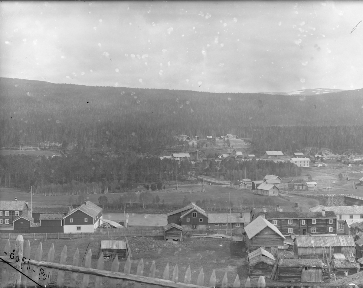 Peder J. Bredalslien, Parti fra Tolga
