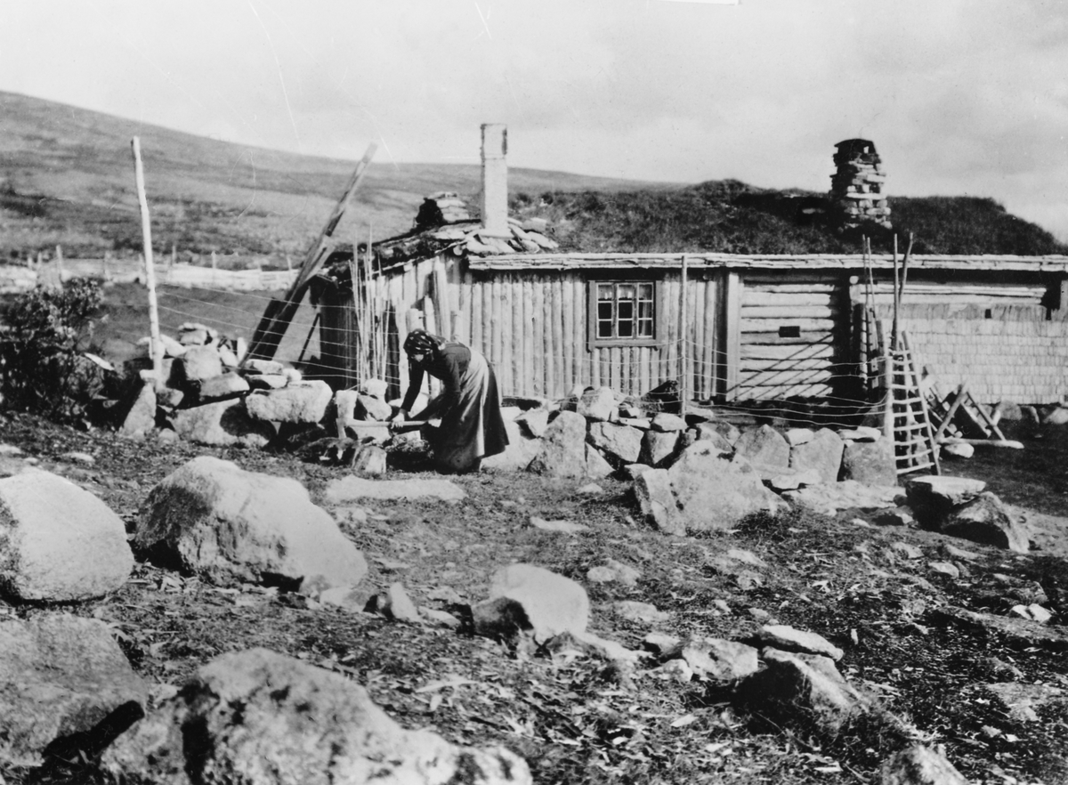 Ukjent, Mor (Maria Hårdnes født 1856) høgg brisle til ystekjelen