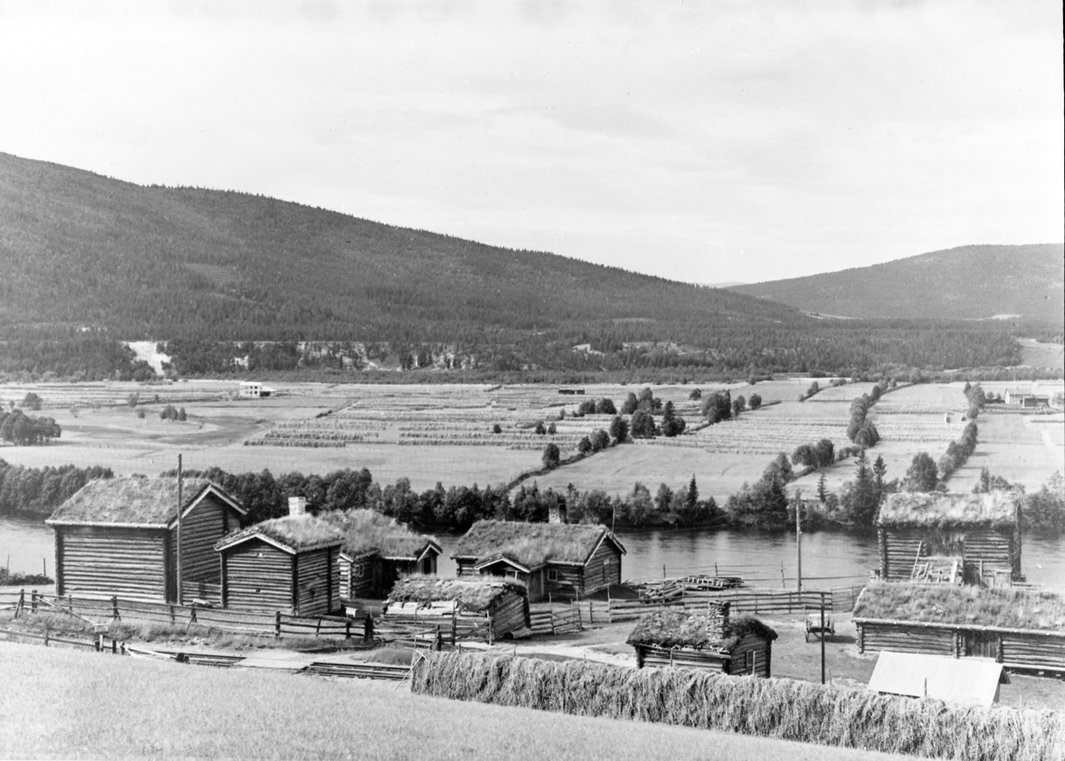 Carl Gustav Normann, Nordre Husan gardsbruket i Alvdal, senere Husantunet.
