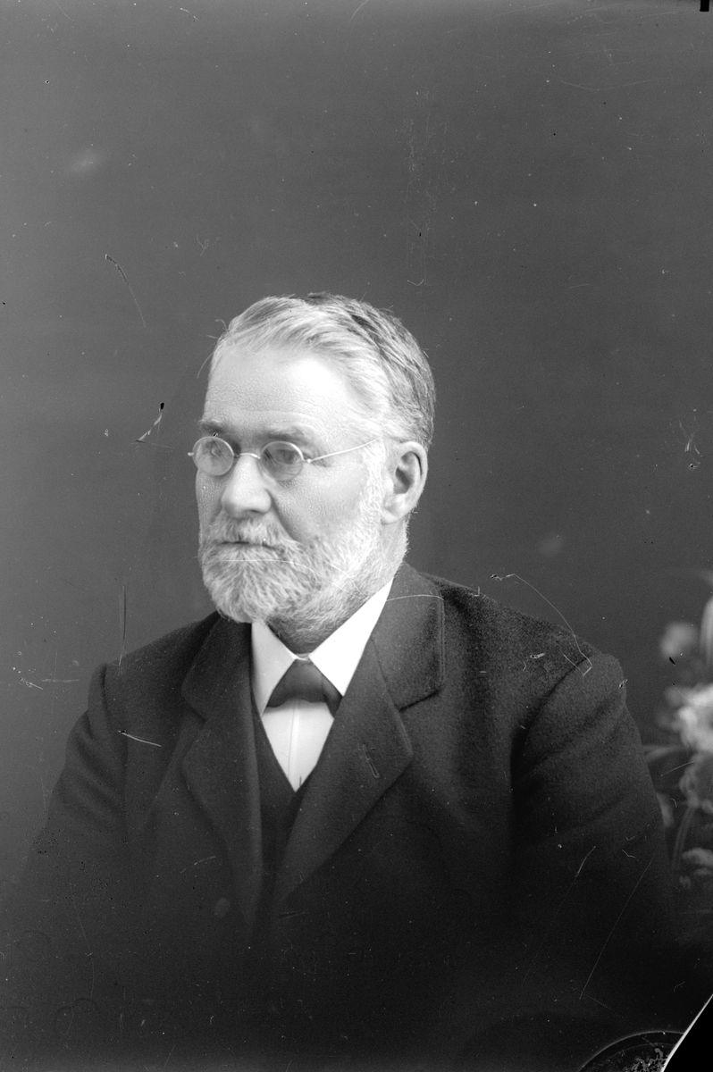 Jakob Jakobsen Engerdal, Portrett, mann. Dette er Ola Olsen Haugen (1853), Østby. Bodde på Løvbæksetra.