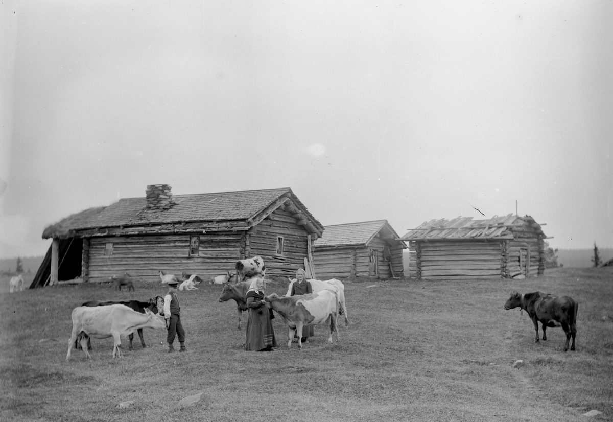 Jakob Jakobsen Engerdal, 0428-0000-06239