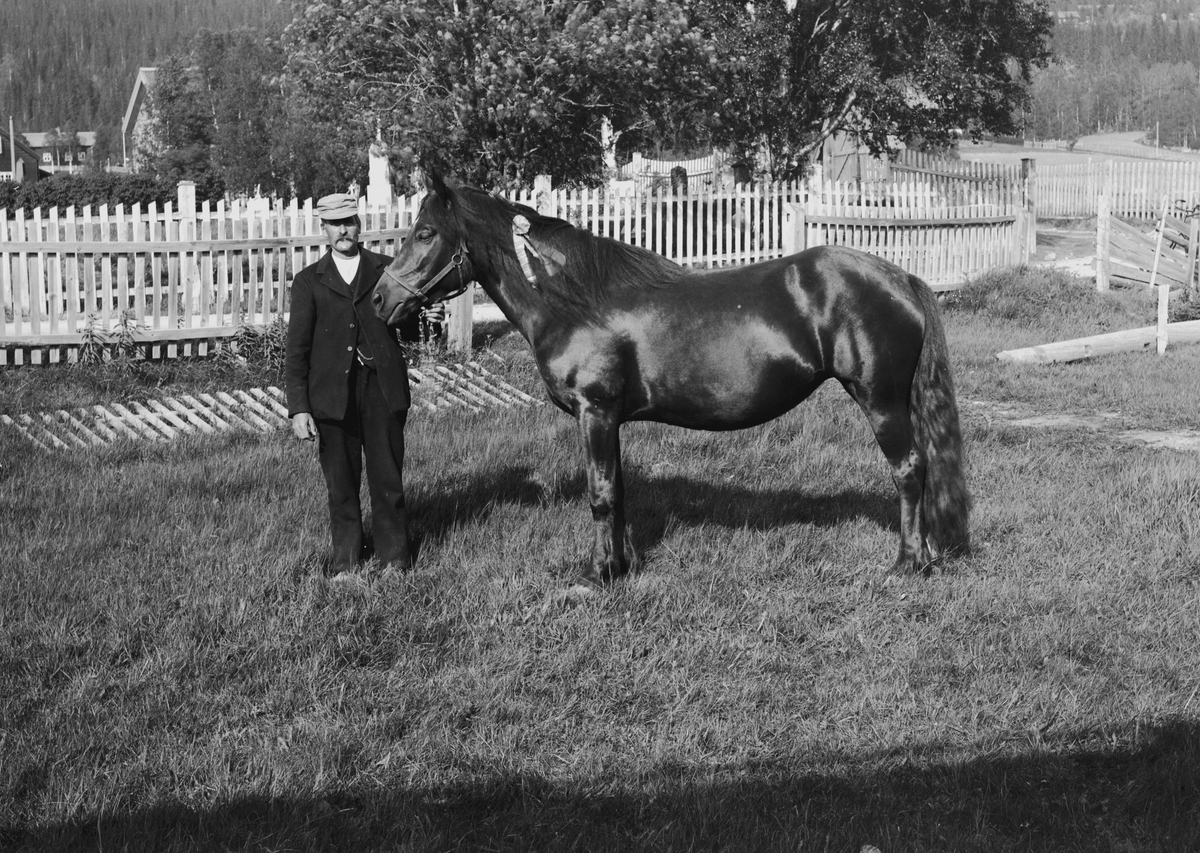 Jakob Jakobsen Engerdal, 0428-0000-06244