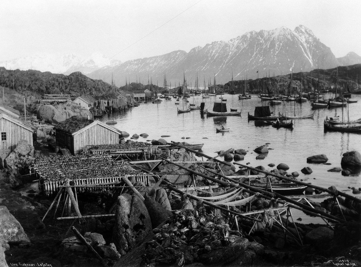 Anders Beer Wilse, Prot: Ure - Fisken paa jeller 12/3 1910