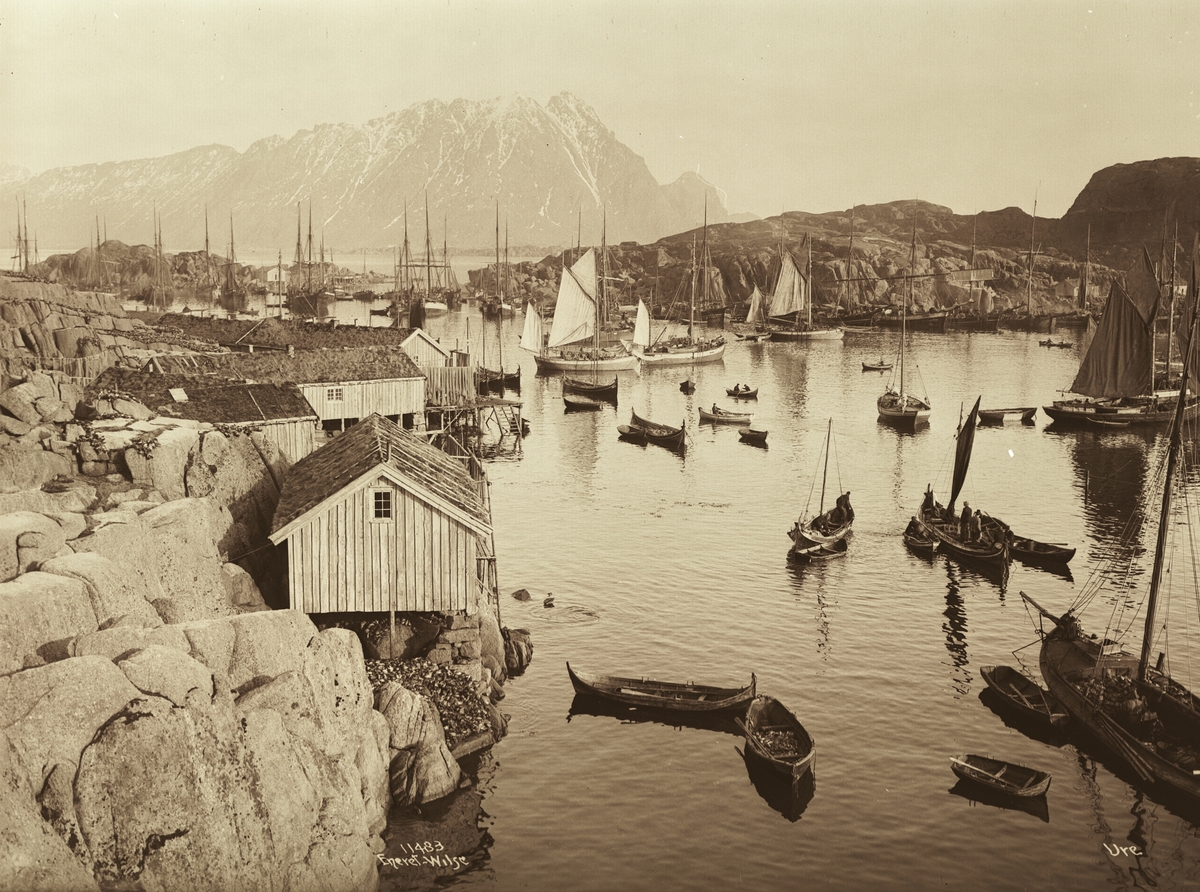 Anders Beer Wilse, Prot: Ure Havnen