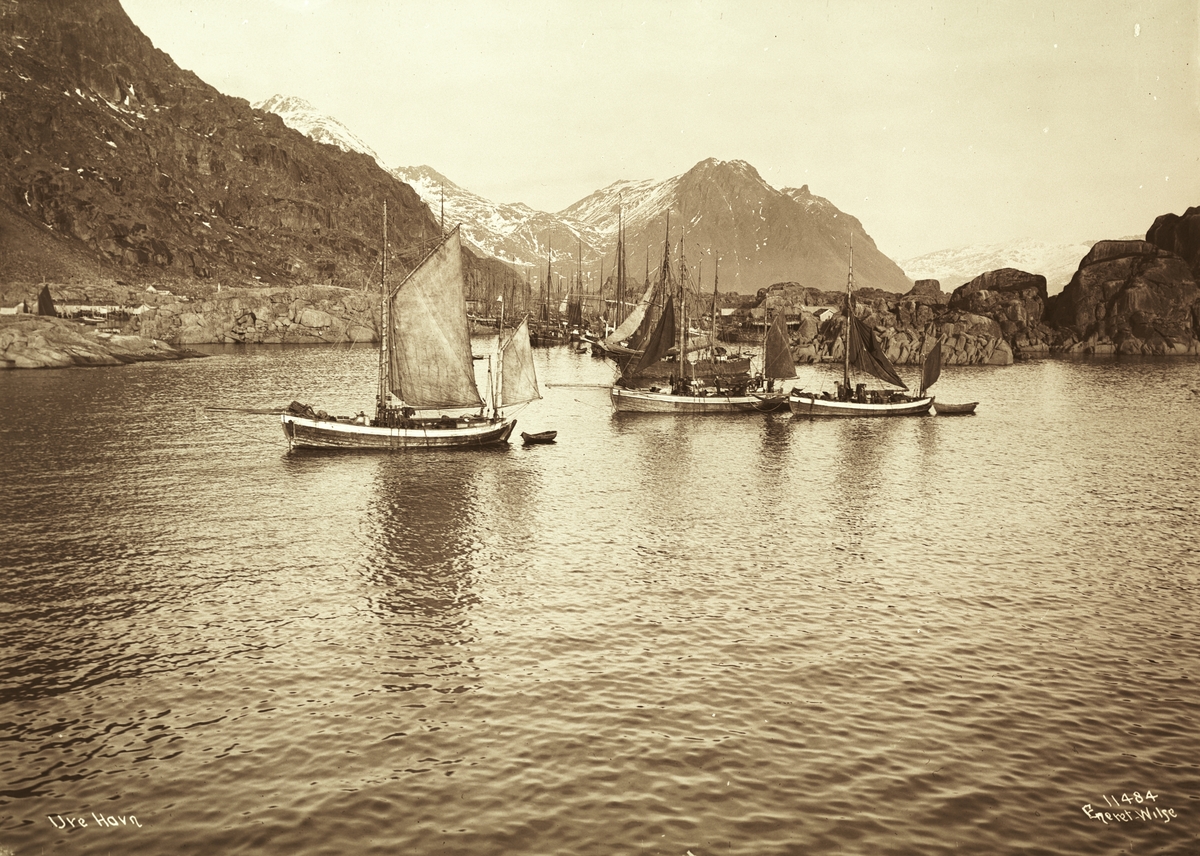 Anders Beer Wilse, Prot: Ure Havnen