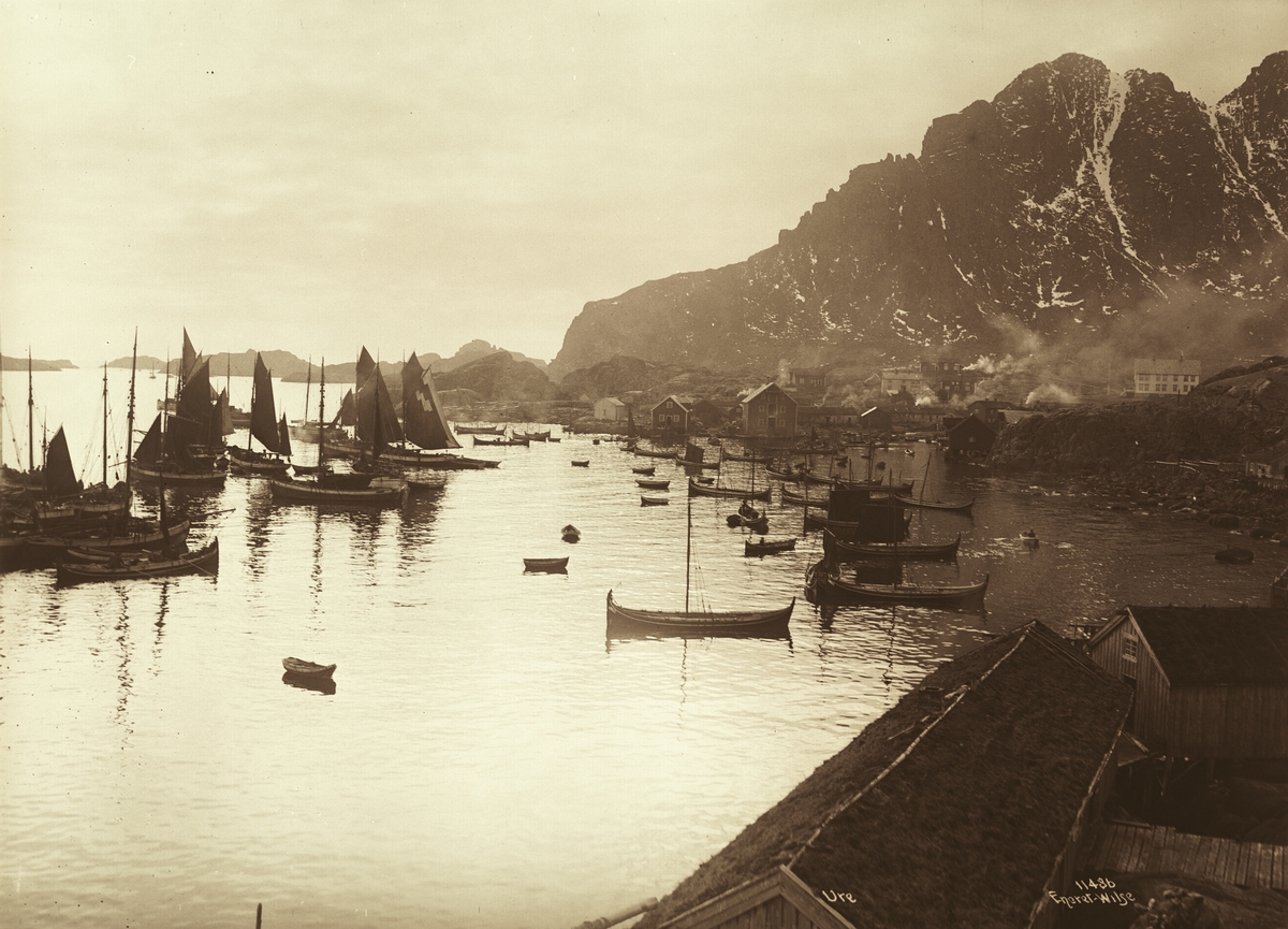 Anders Beer Wilse, Prot: Ure Havnen