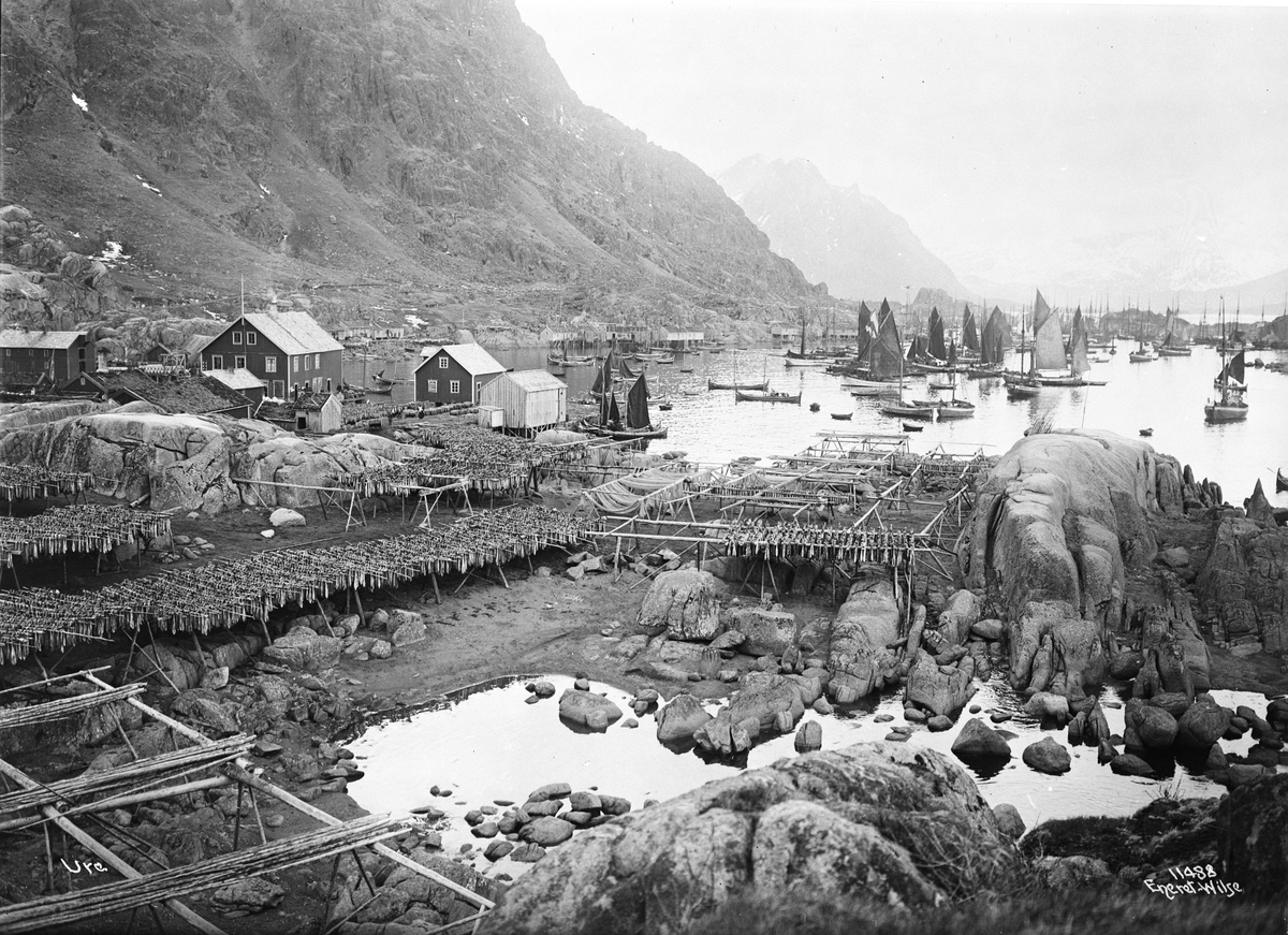 Anders Beer Wilse, Prot: Ure Havnen Fisken tørkes