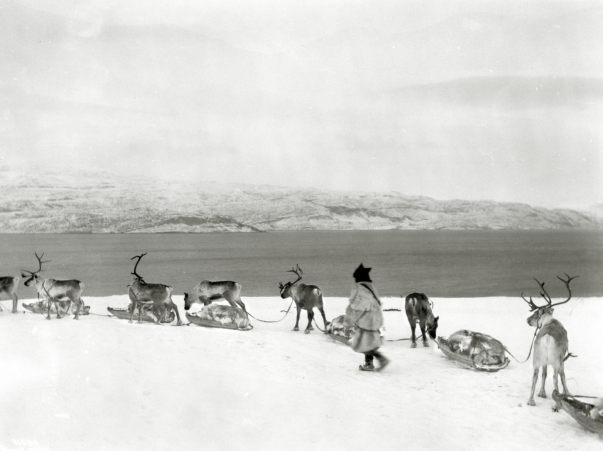 Anders Beer Wilse, Prot: Bosekop - Lapper Pulkkjøring på vei til Marked 2/3 1910
