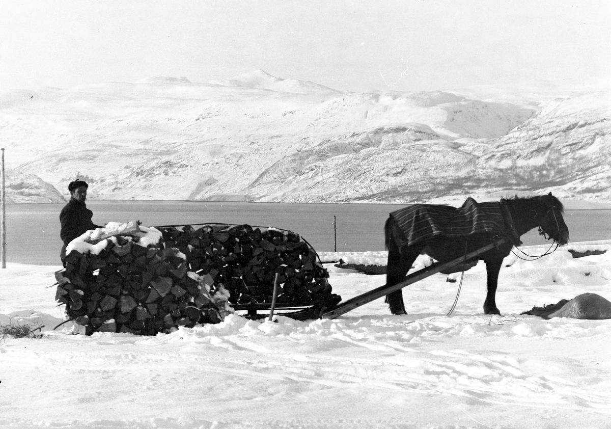 Anders Beer Wilse, Prot: Bosekop - veden kjøres hjem 3/3 1910