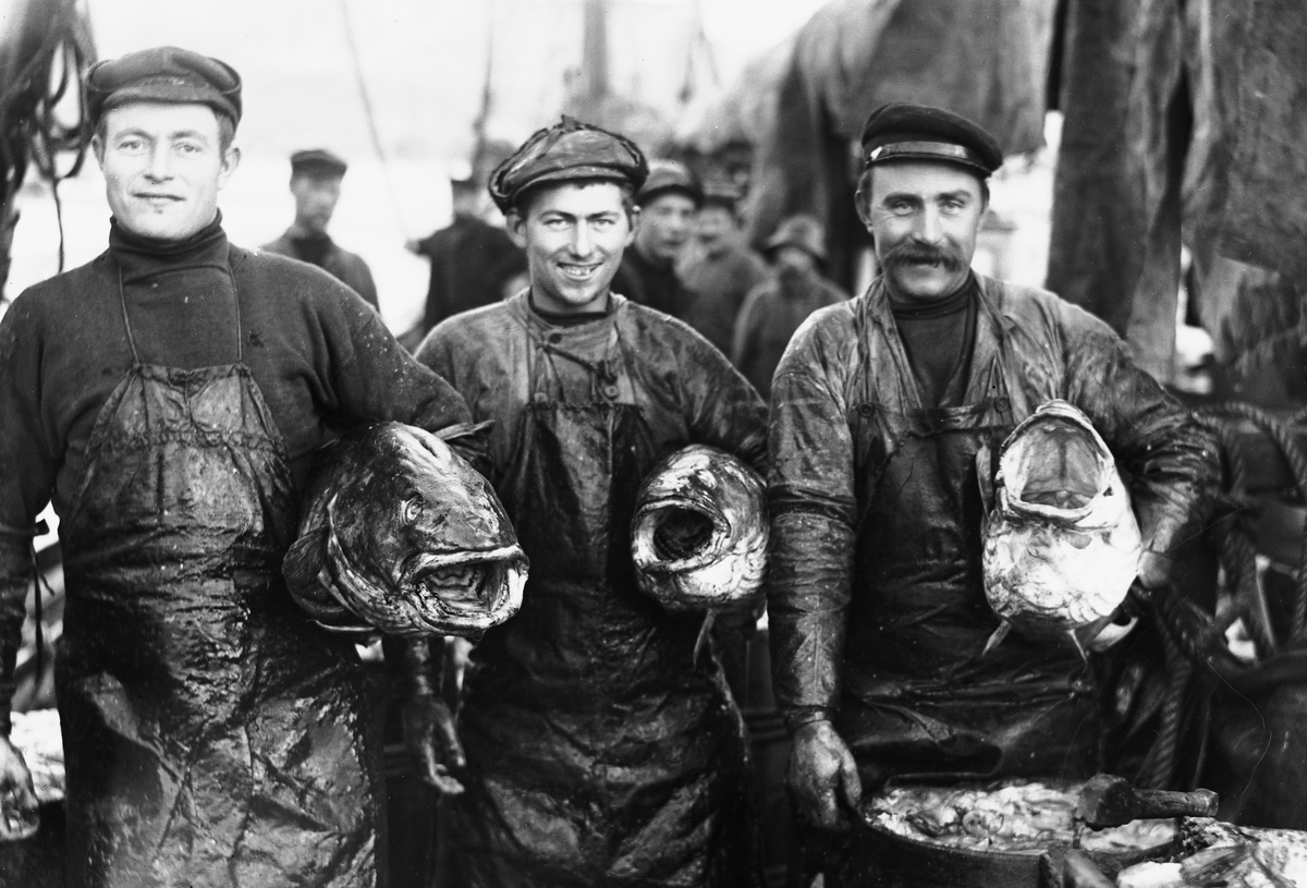 Anders Beer Wilse, Prot: 3 digre Torske (Skrei) 1910