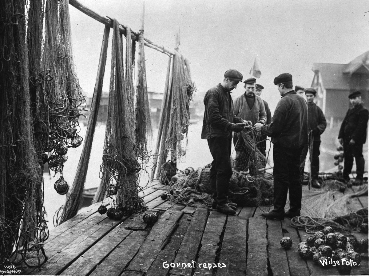 Anders Beer Wilse, Prot: Garna greies op Konv: Norsk fiskegarnsfabrik