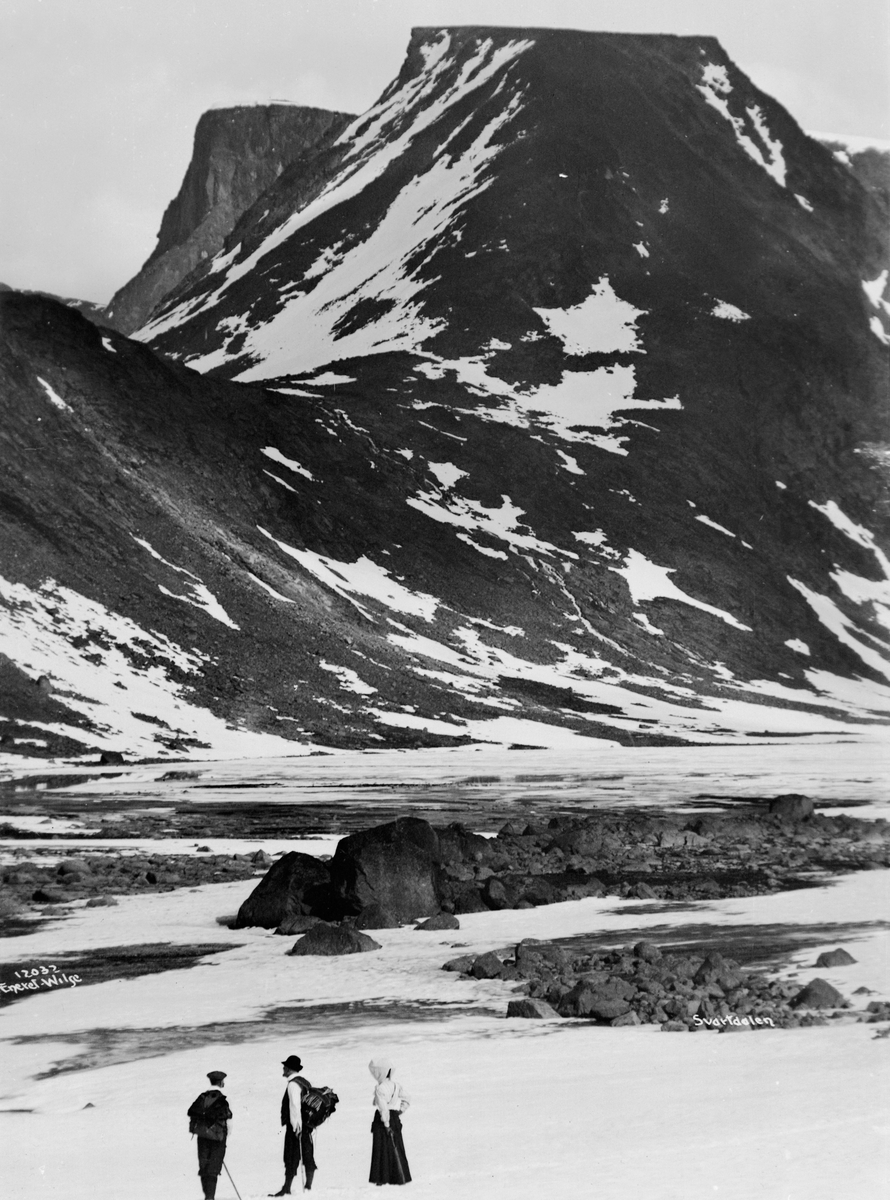 Anders Beer Wilse, Prot: Svartdalen med Leirungtind
