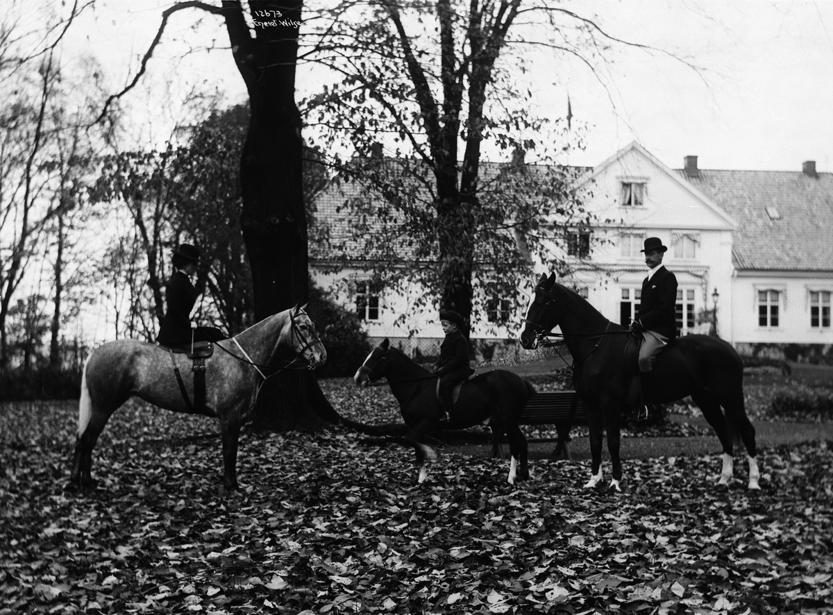 Anders Beer Wilse, Prot: Alle tilhest i Parken 22/10