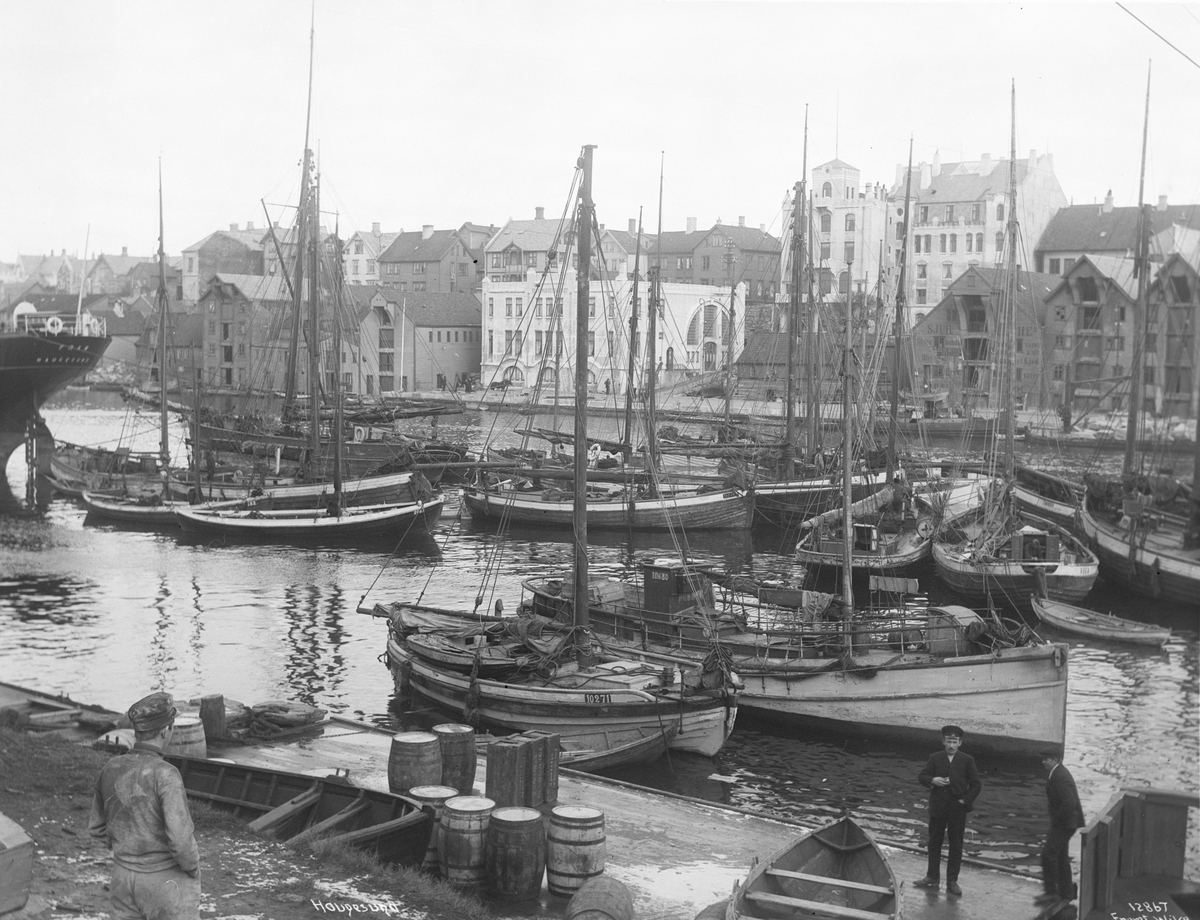 Anders Beer Wilse, Prot: Haugesundhavn 24/2-3/3