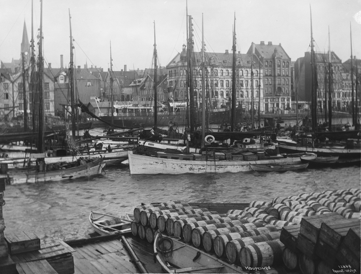 Anders Beer Wilse, Prot: Haugesundhavn 24/2-3/3