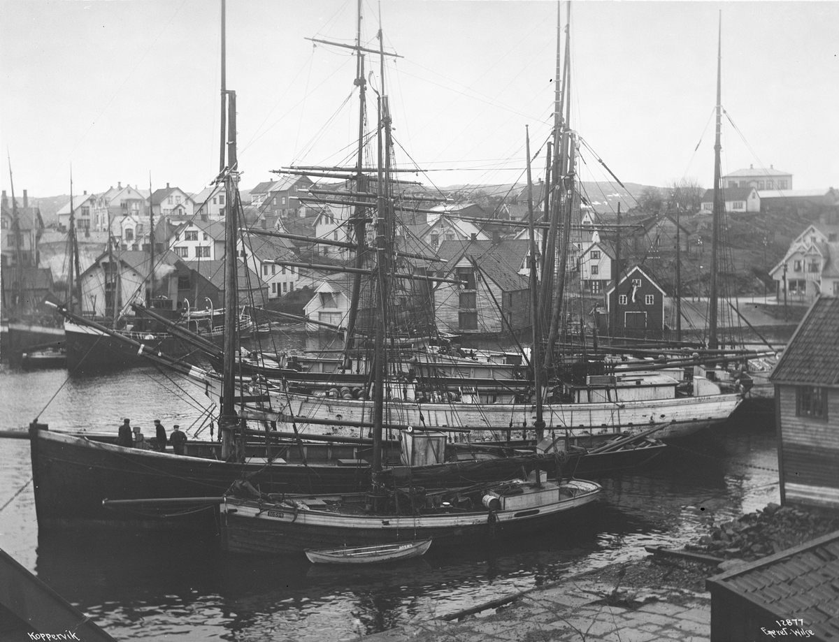 Anders Beer Wilse, Prot: Koppervik Havn 24/2-3/3