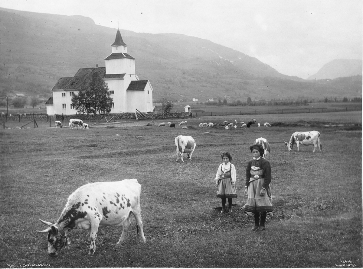 Anders Beer Wilse, Prot: Valle Kirke