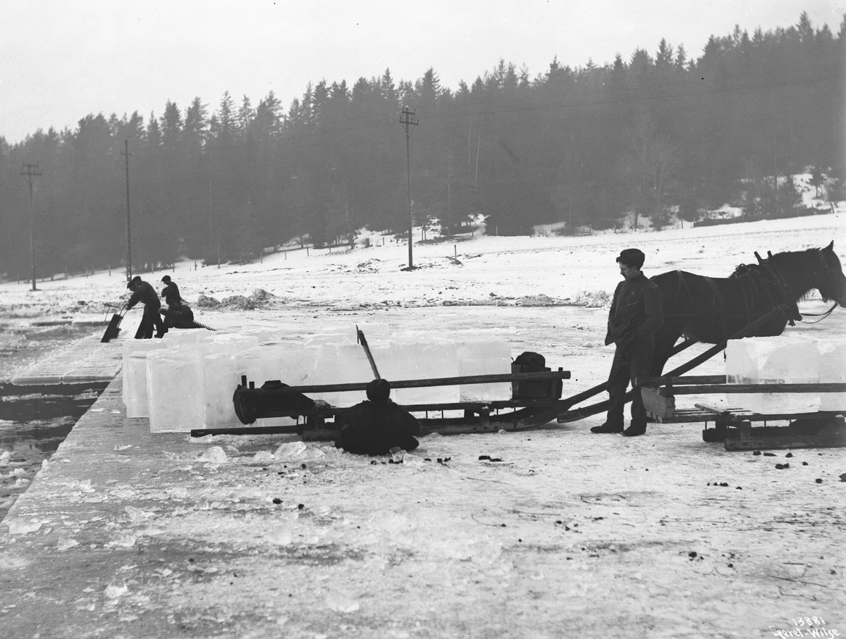 Anders Beer Wilse, Prot: Istrafik - Isen sages 15/2