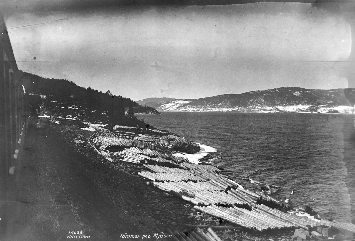 Anders Beer Wilse, Prot: Mjøsen - Tømmer paa Stranden