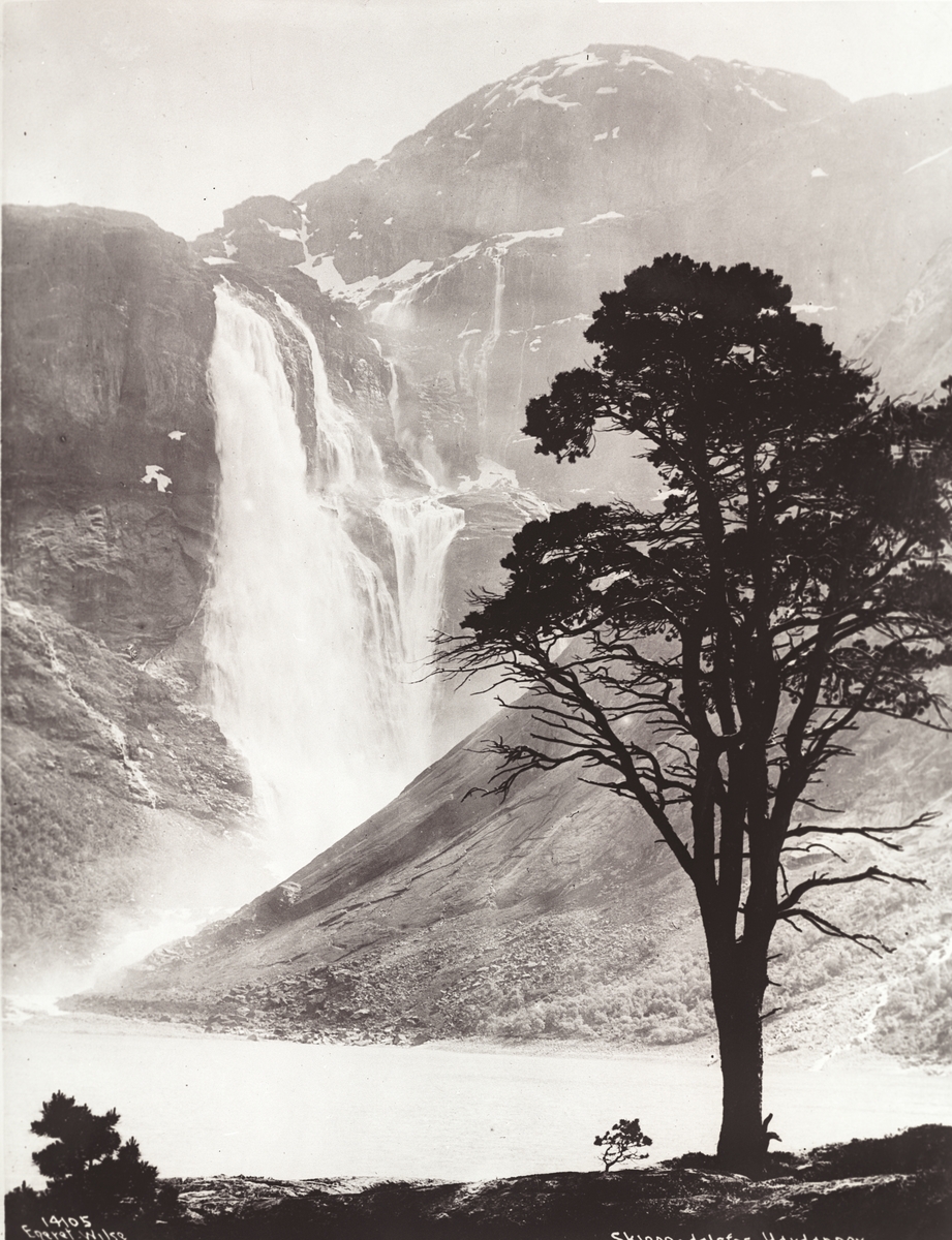Anders Beer Wilse, Prot: Skjeggedalsfos 13/6 Neg: Skjeggedalsfos - Hardanger