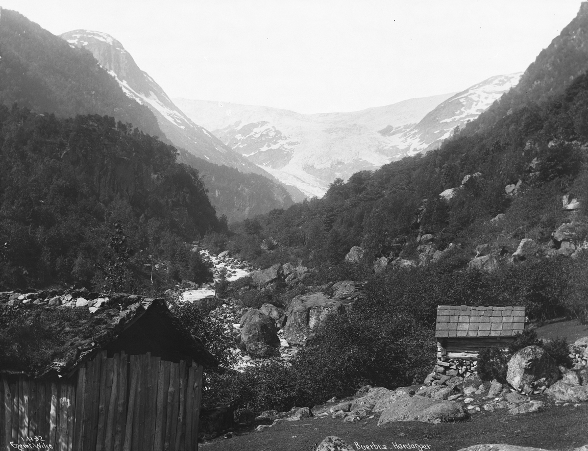 Anders Beer Wilse, Prot: Buerbræ Neg: Buerbræ - Hardanger