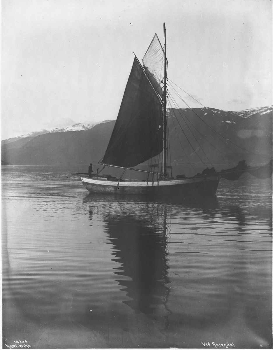Anders Beer Wilse, Prot: Rosendal Hardangerjagt Konv: Rosendal - Jagt speilende Neg: