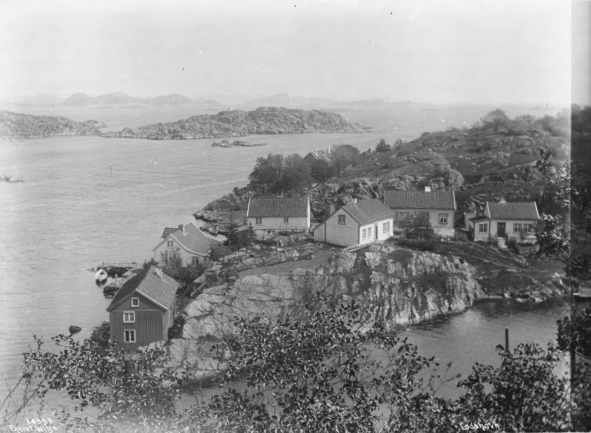 Anders Beer Wilse, Prot: Lodshavn