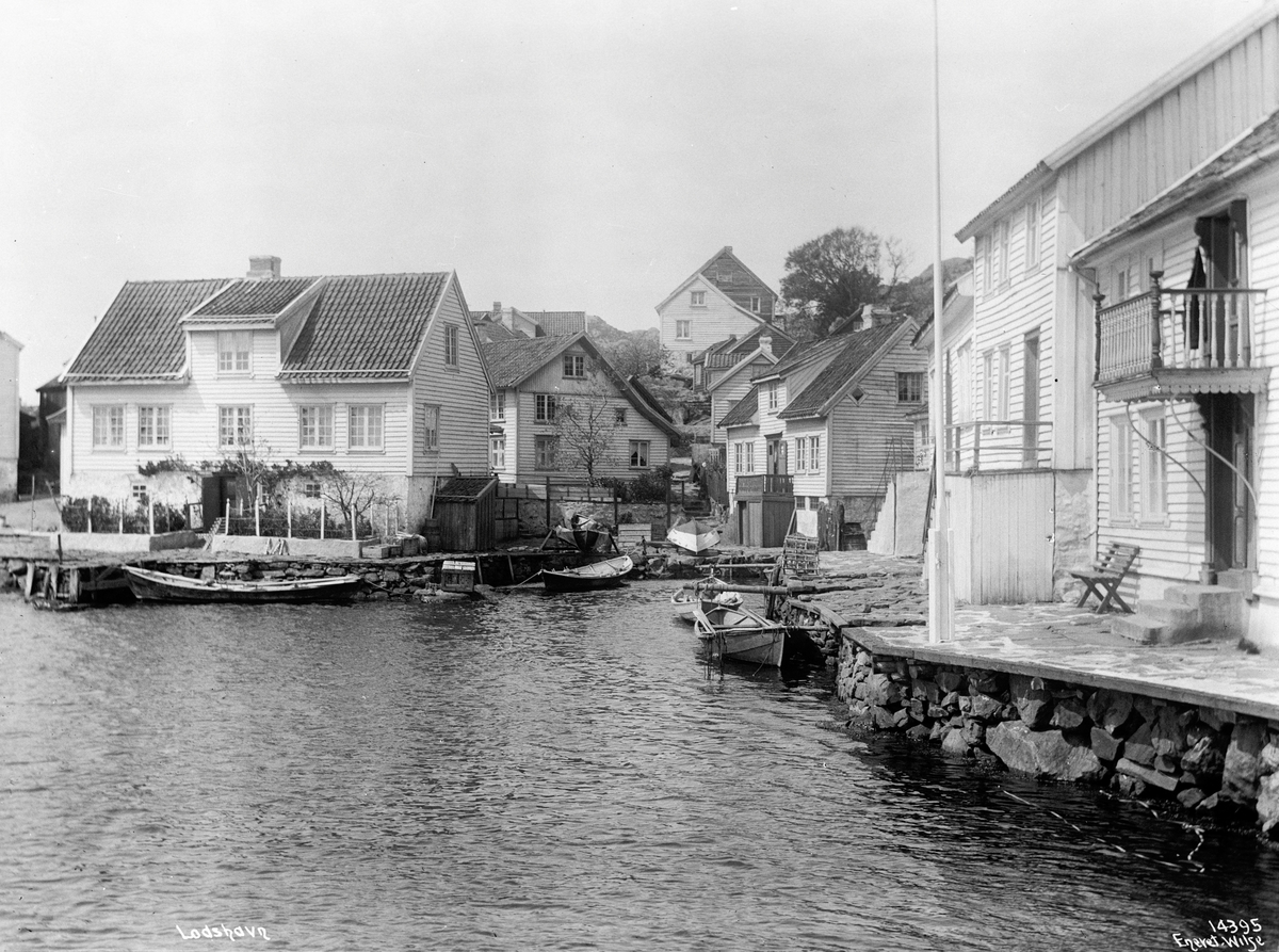 Anders Beer Wilse, Prot: Lodshavn