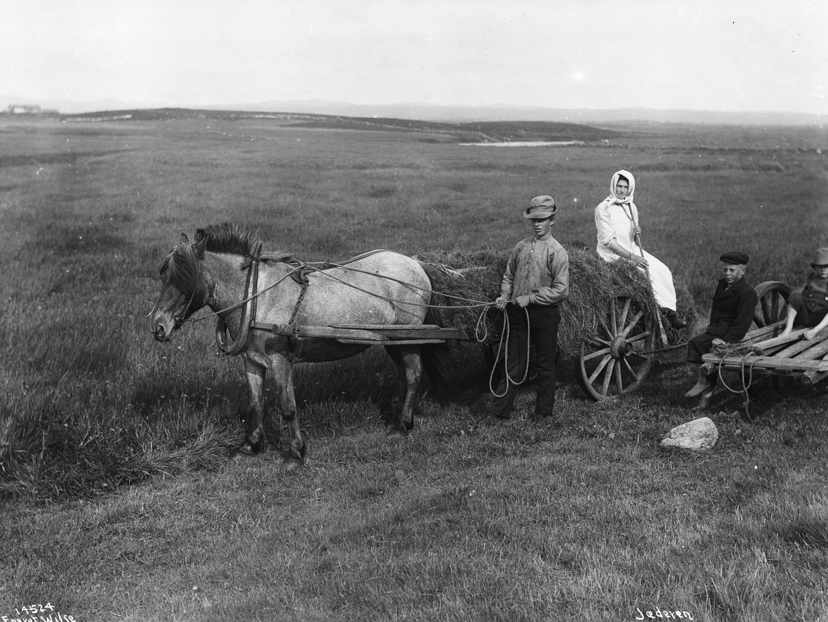 Anders Beer Wilse, Prot: Høyiing Konv: Jæderen, Høiing ved Orre.