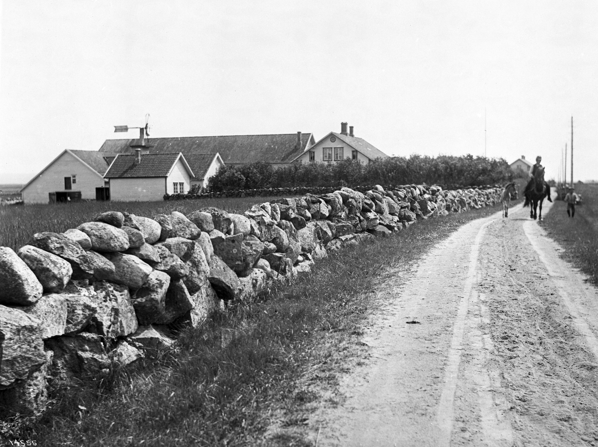 Anders Beer Wilse, Prot: Gaarden Skeie Neg: Jæderen - Gaarden Skeie