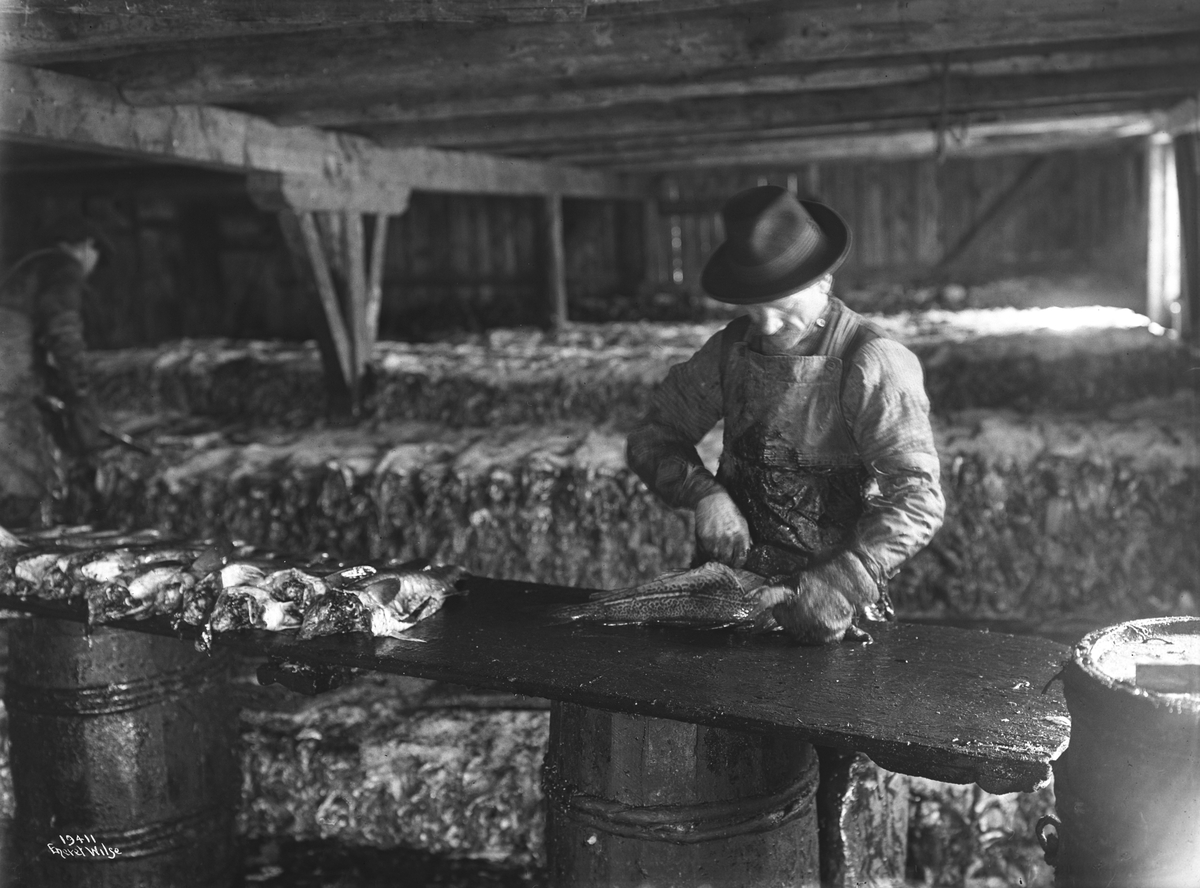 Anders Beer Wilse, Prot: Fisken saltes