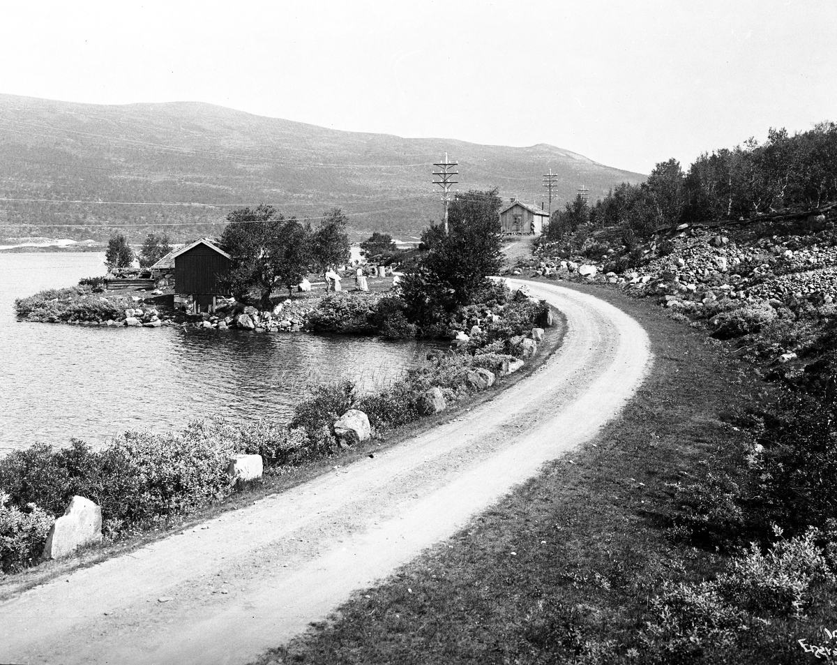 Anders Beer Wilse, Prot: Dovre Ved Vaalsjøen