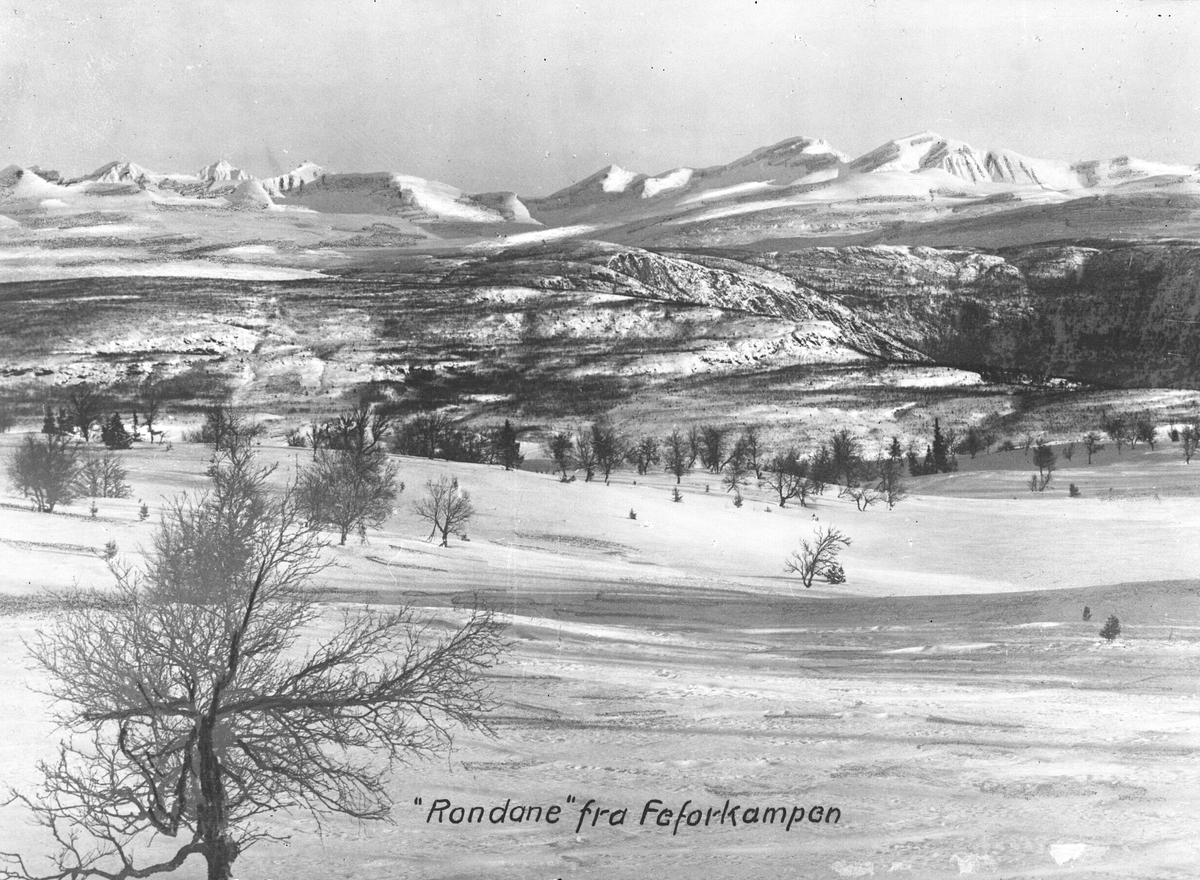 Anders Beer Wilse, Prot: Fefor Rondane