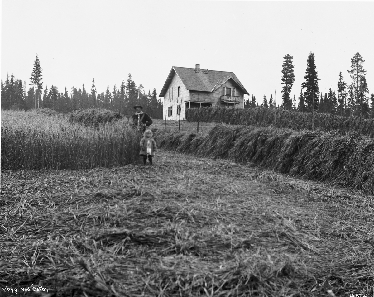 Anders Beer Wilse, Prot: Nybyg