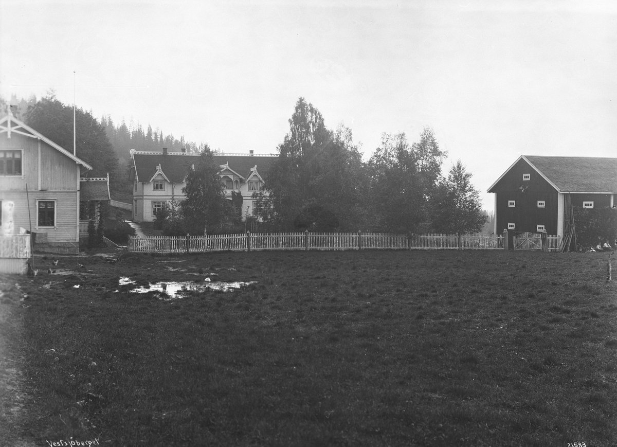Anders Beer Wilse, Prot: Vestsjøberget - M.Nyhus's gård