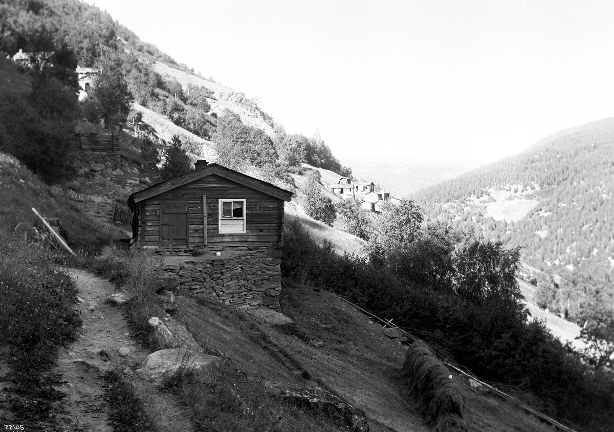 Anders Beer Wilse, Prot: Fjeldgaard