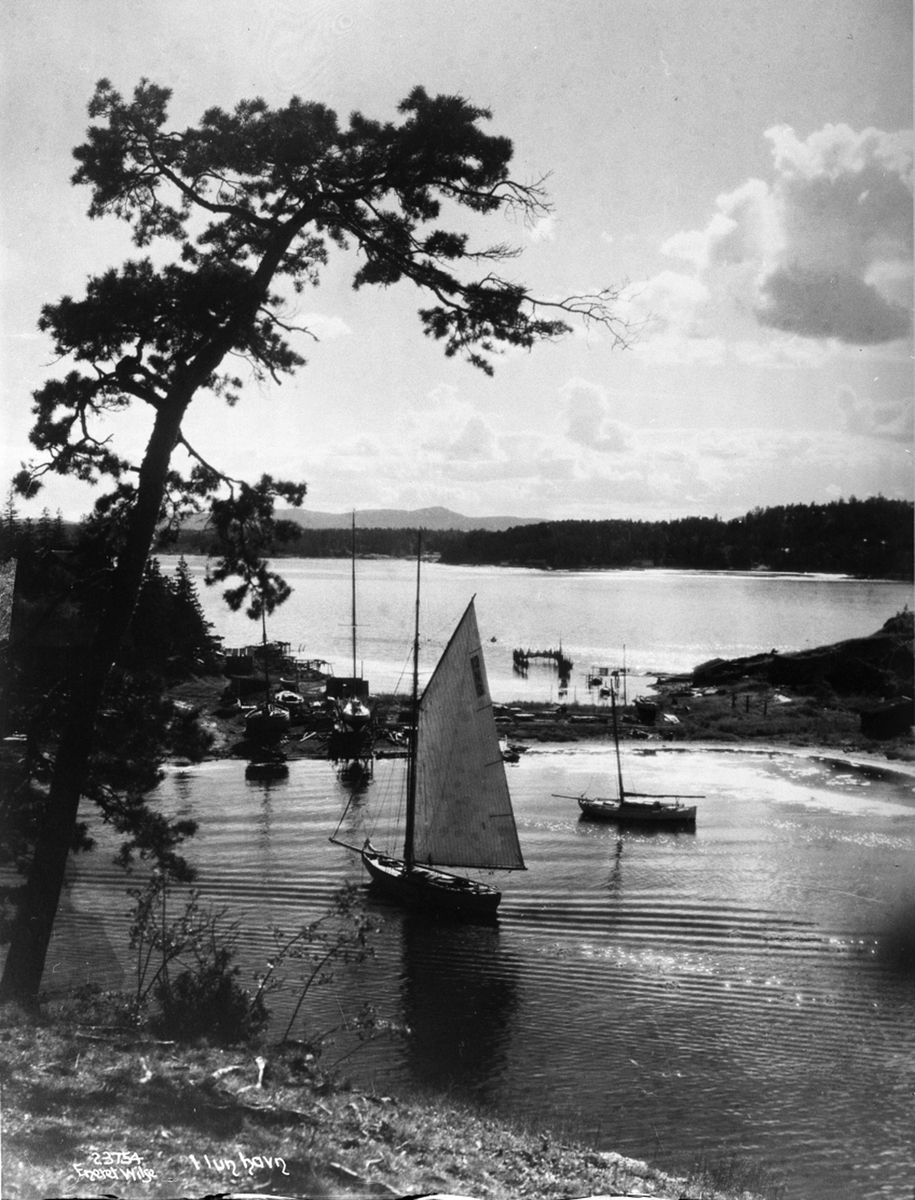 Anders Beer Wilse, Prot: Bygdøy Mat Killingen og Lysaker