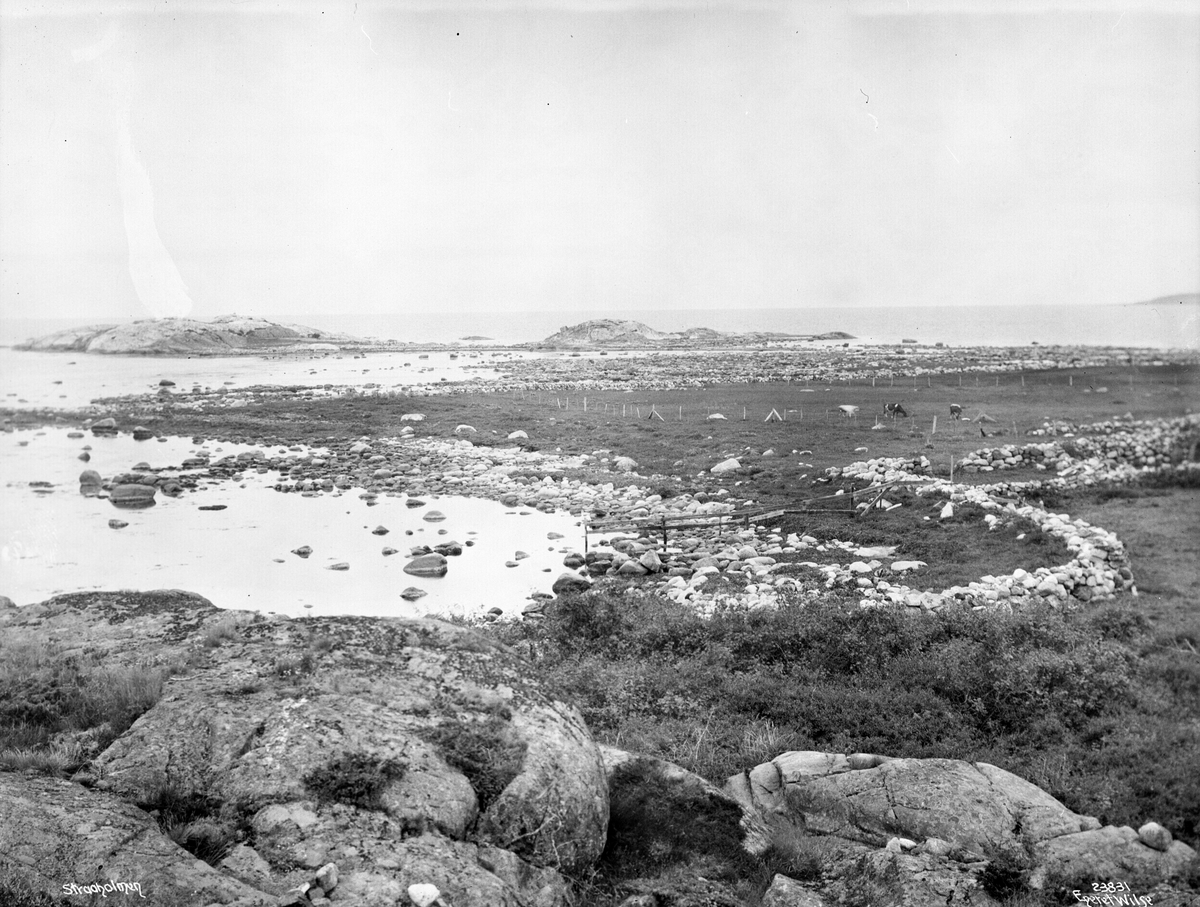 Anders Beer Wilse, Prot: Kragerø - Straaholmen, Ydersiden