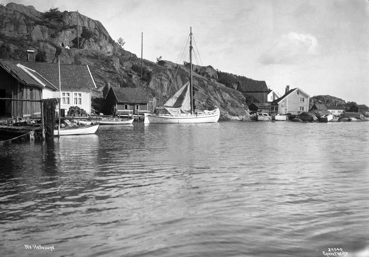 Anders Beer Wilse, Prot: Ny Hellesund