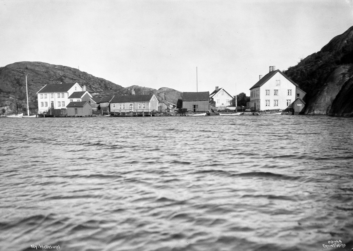 Anders Beer Wilse, Prot: Ny Hellesund