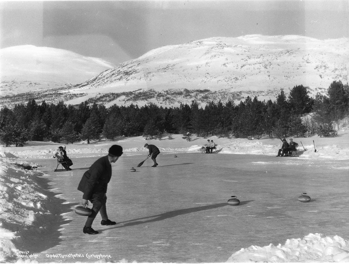 Anders Beer Wilse, Prot: Opdal - Curlingbane