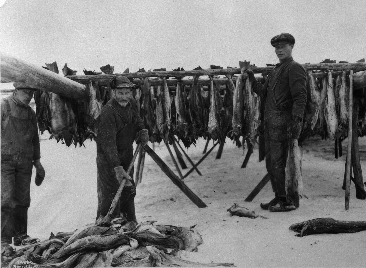 Anders Beer Wilse, Konv: Stokfisk