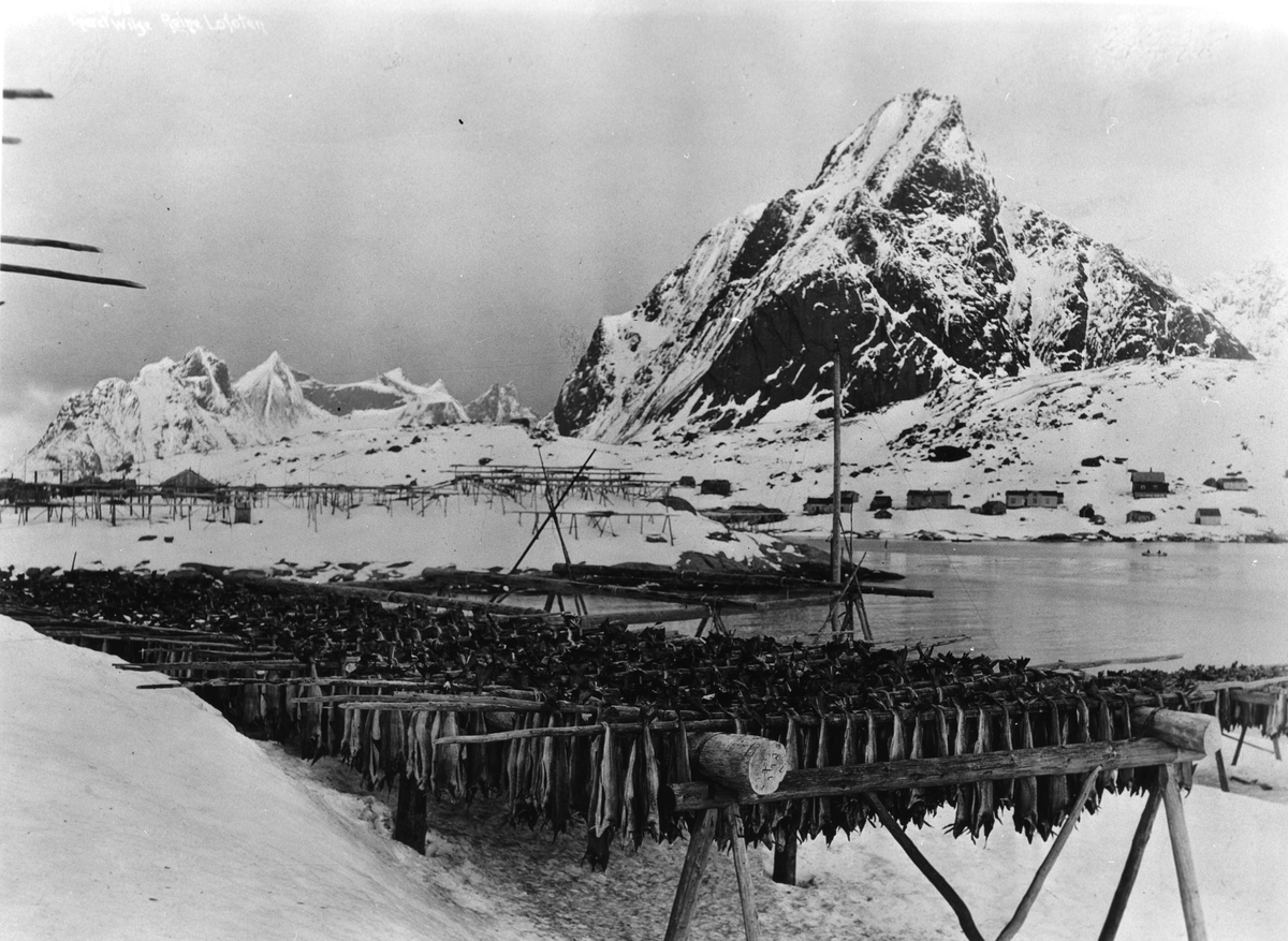 Anders Beer Wilse, Konv: Reine, Lofoten