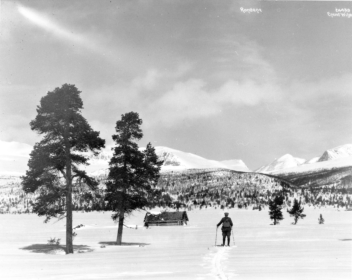 Anders Beer Wilse, Prot: Rondane