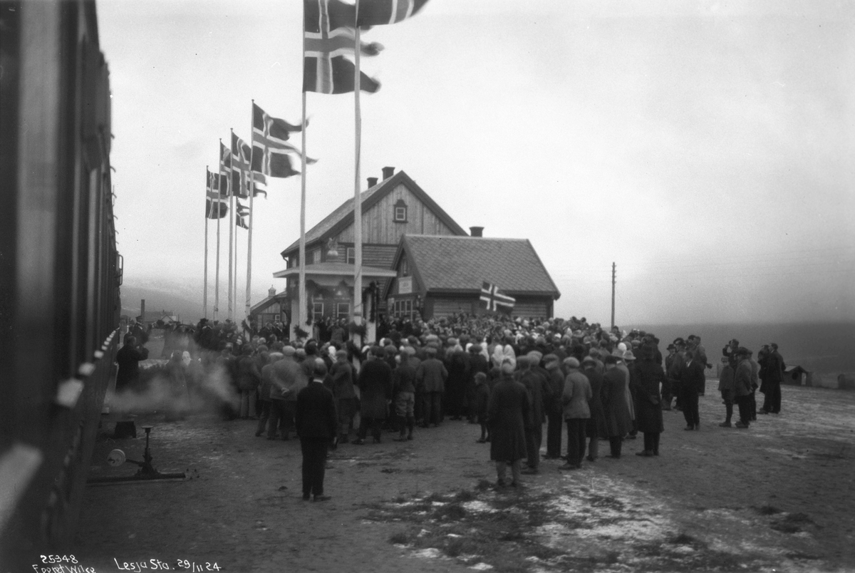 Anders Beer Wilse, Prot: Raumabanens aabning - Lesja Station