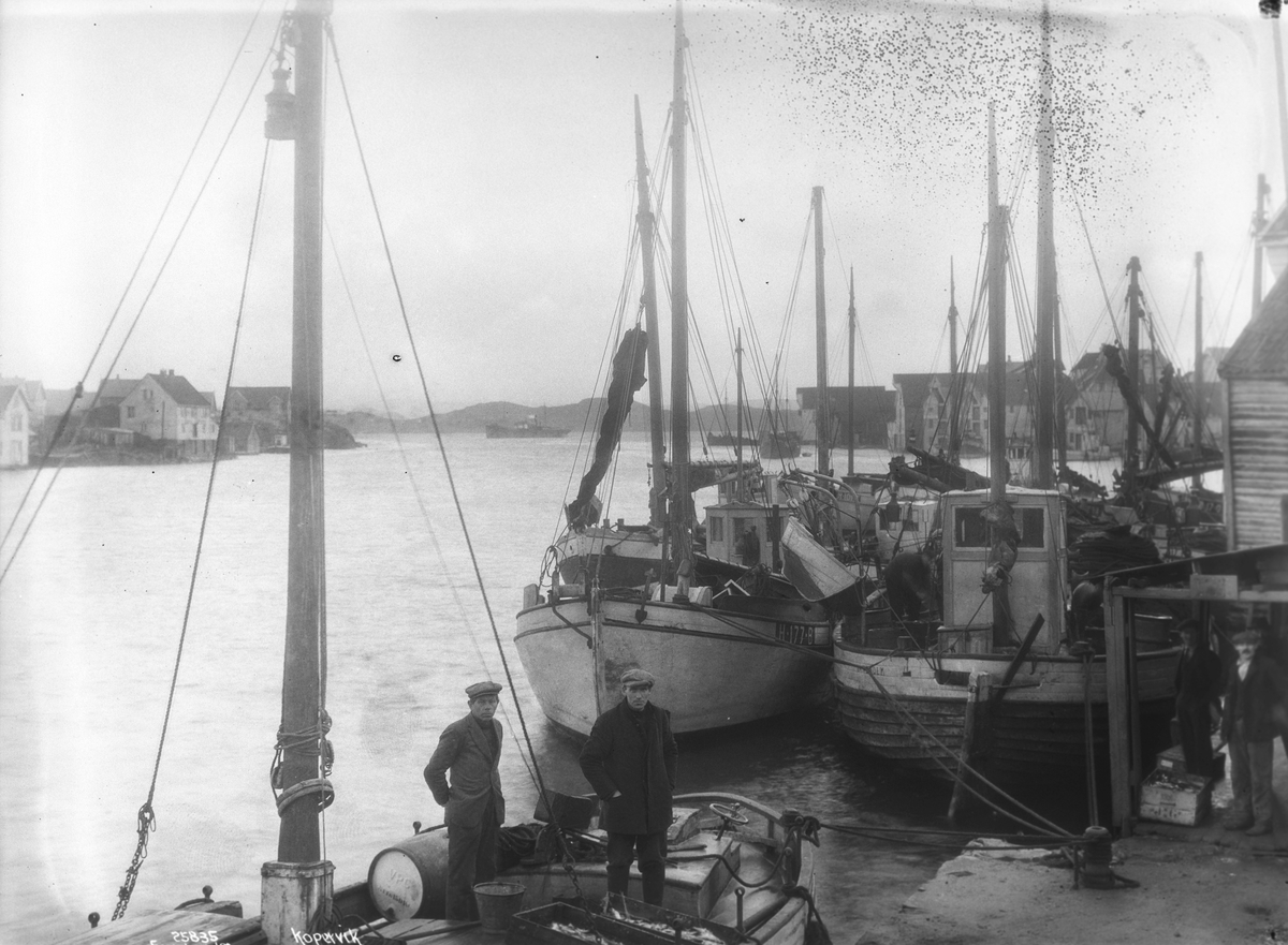 Anders Beer Wilse, Prot: Kopervik
