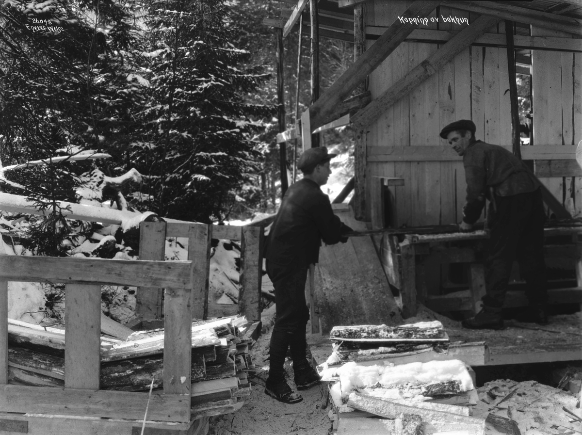 Anders Beer Wilse, Prot: Skogen - Sagbruk i skogen