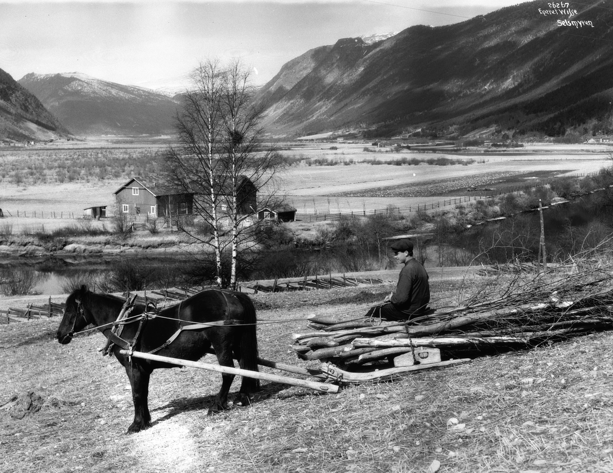 Anders Beer Wilse, Prot: Gudbrandsdal - Sellsmyren, øvre ende