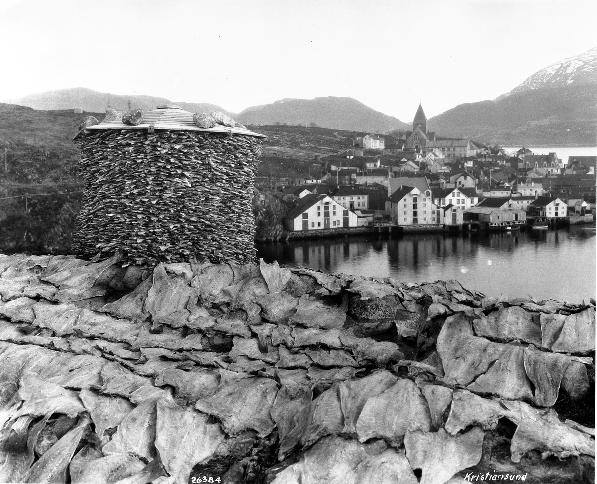 Anders Beer Wilse, Prot: Byer - Kristiansund, Klipfisktørkning med Nordland